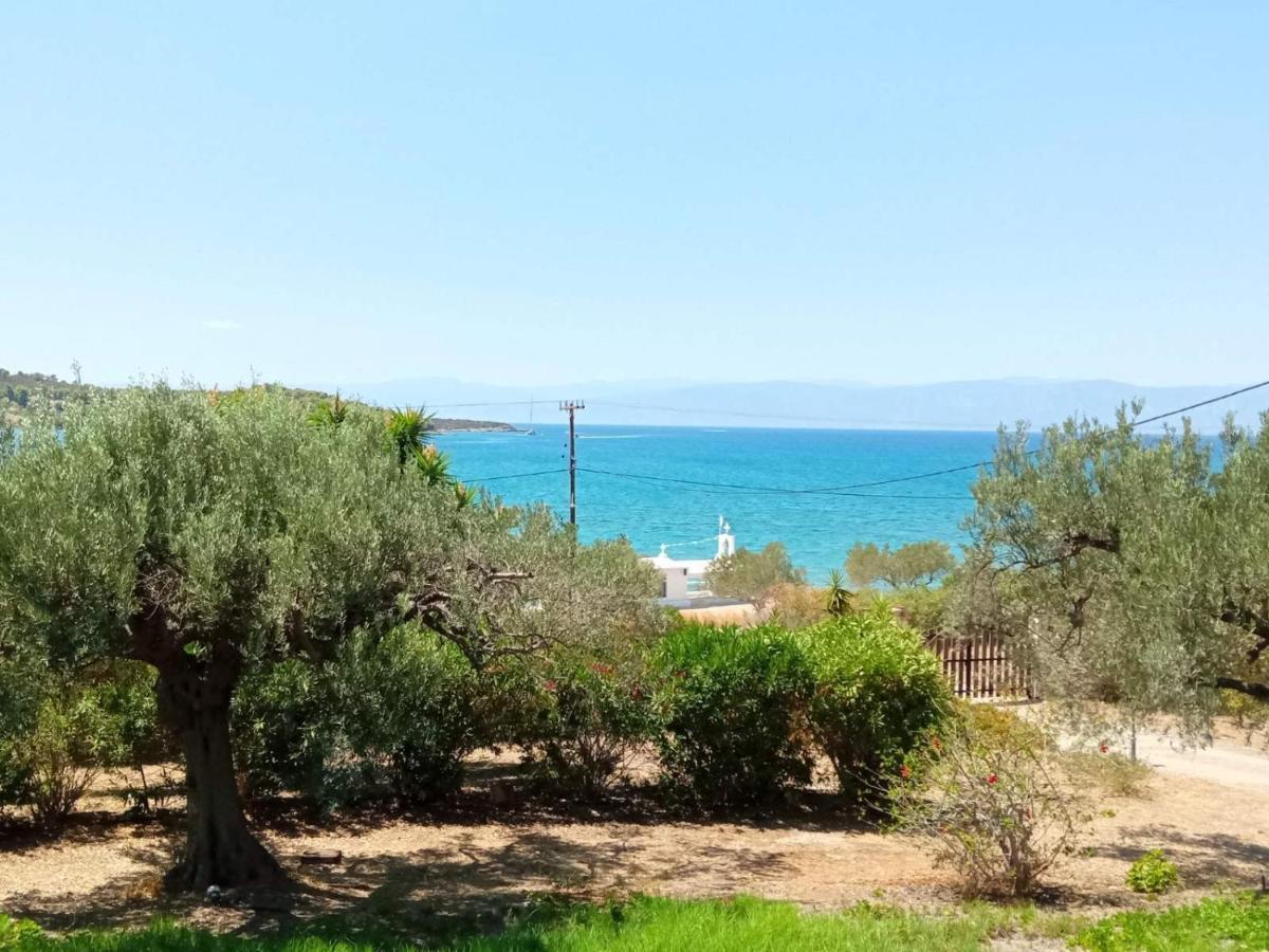 Votsalo Summer House By The Beach Porto Heli Esterno foto