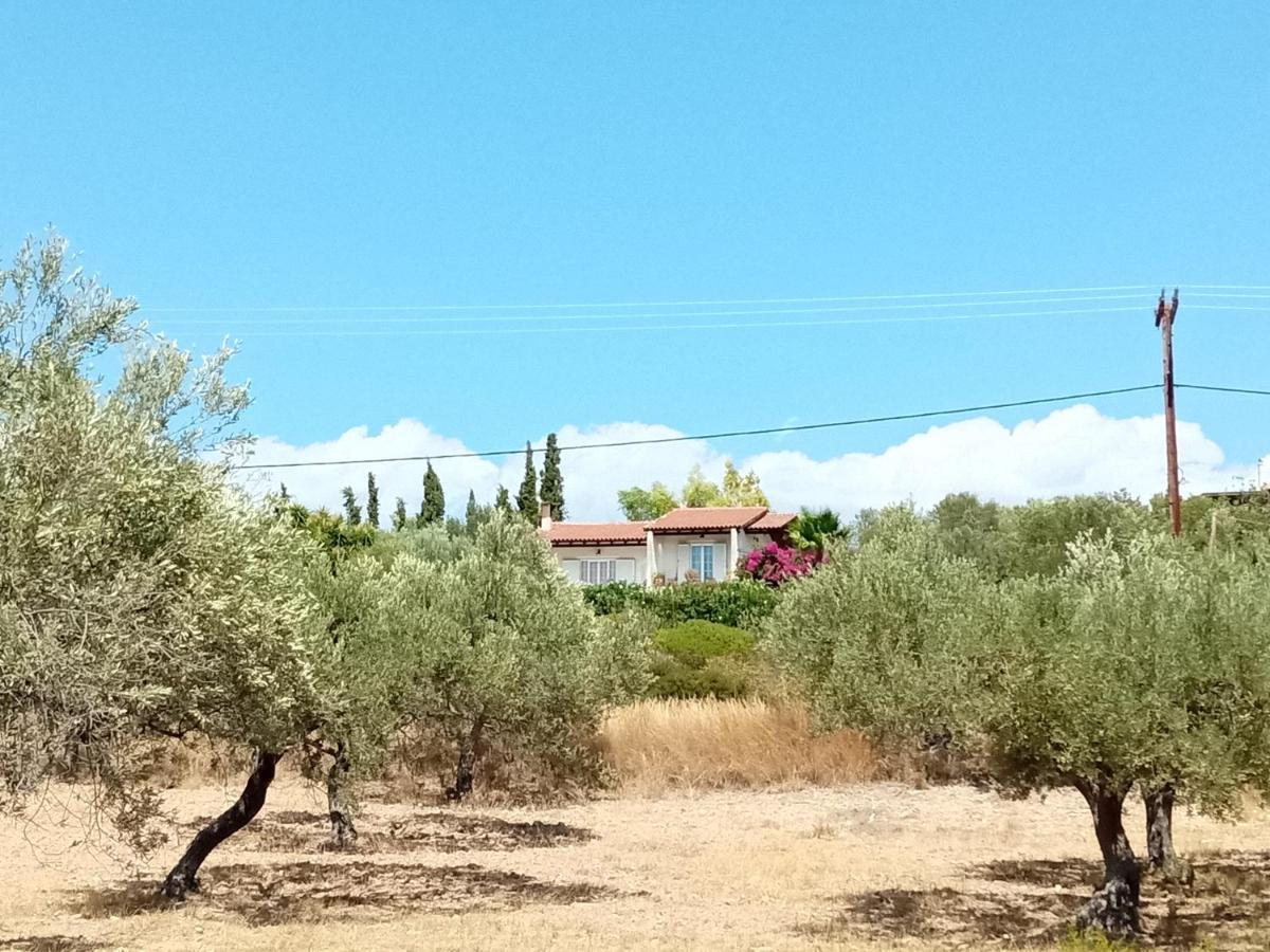 Votsalo Summer House By The Beach Porto Heli Esterno foto